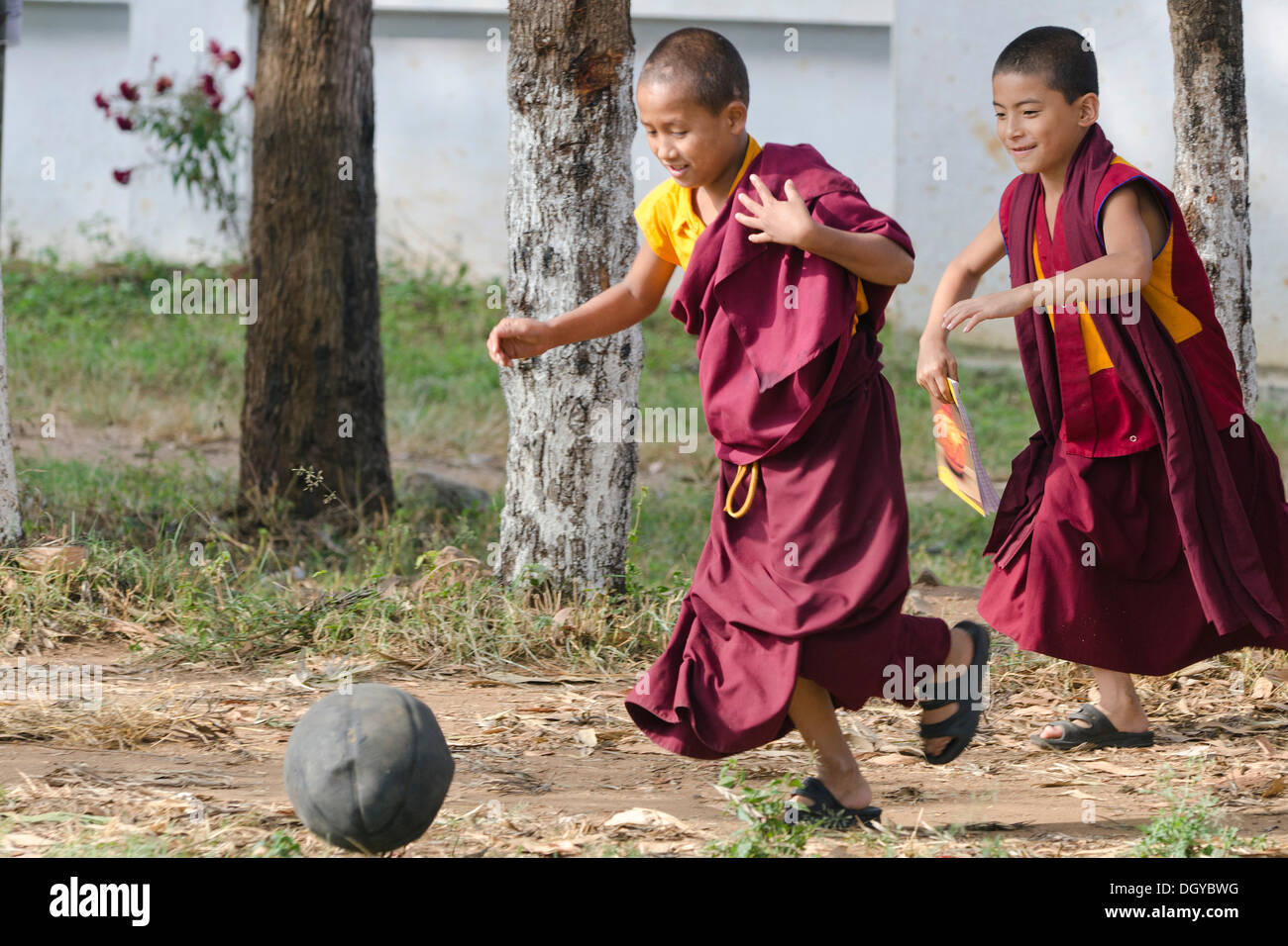 Young monks playing football, Tibetan refugee settlement in Bylakuppe, Mysore District, Karnataka, South India, India, Asia Stock Photo