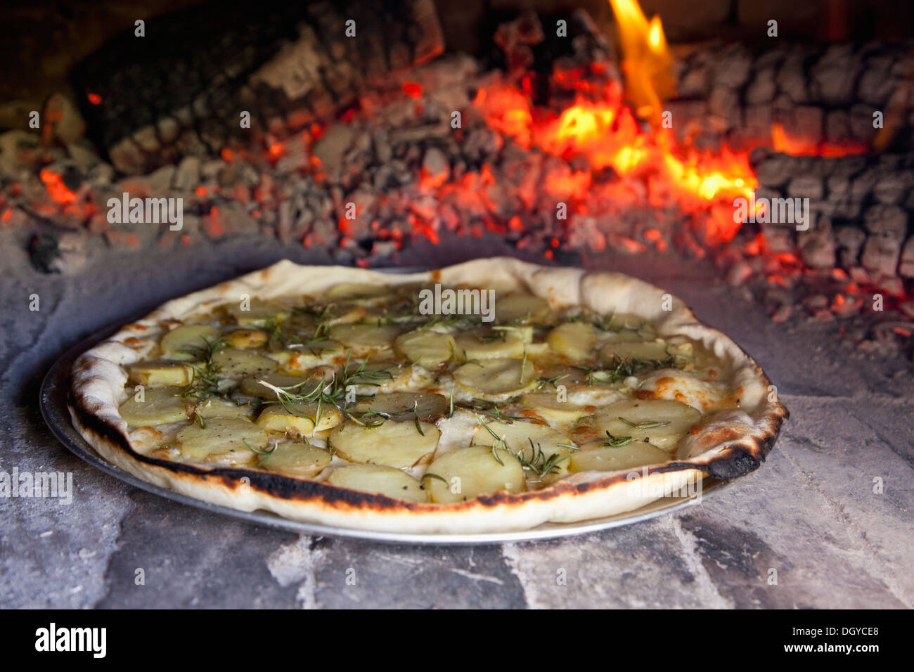 Potato and rosemary pizza baking in oven Stock Photo