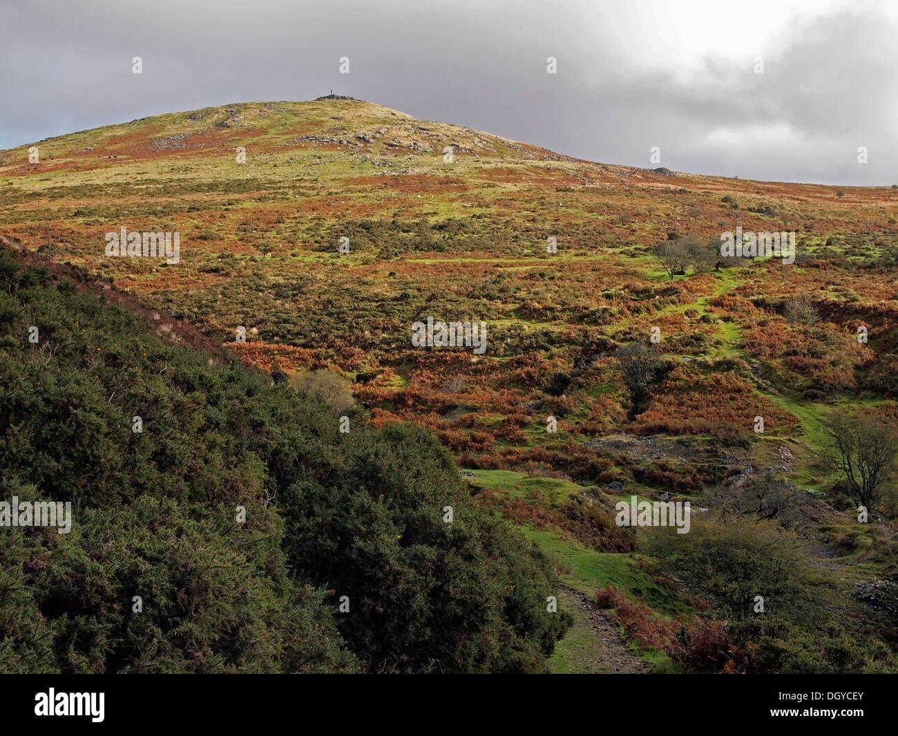 View towards Brat Tor (Widgery Cross) from a ford on the upper River Lyd, Dartmoor near Lydfiord, Devon Stock Photo