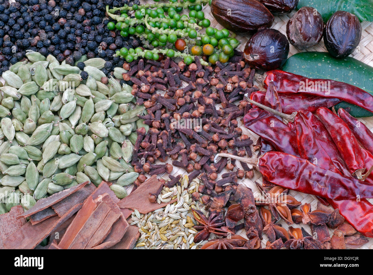 Kerala spices, including black pepper, cardamom, cinnamon, star anise