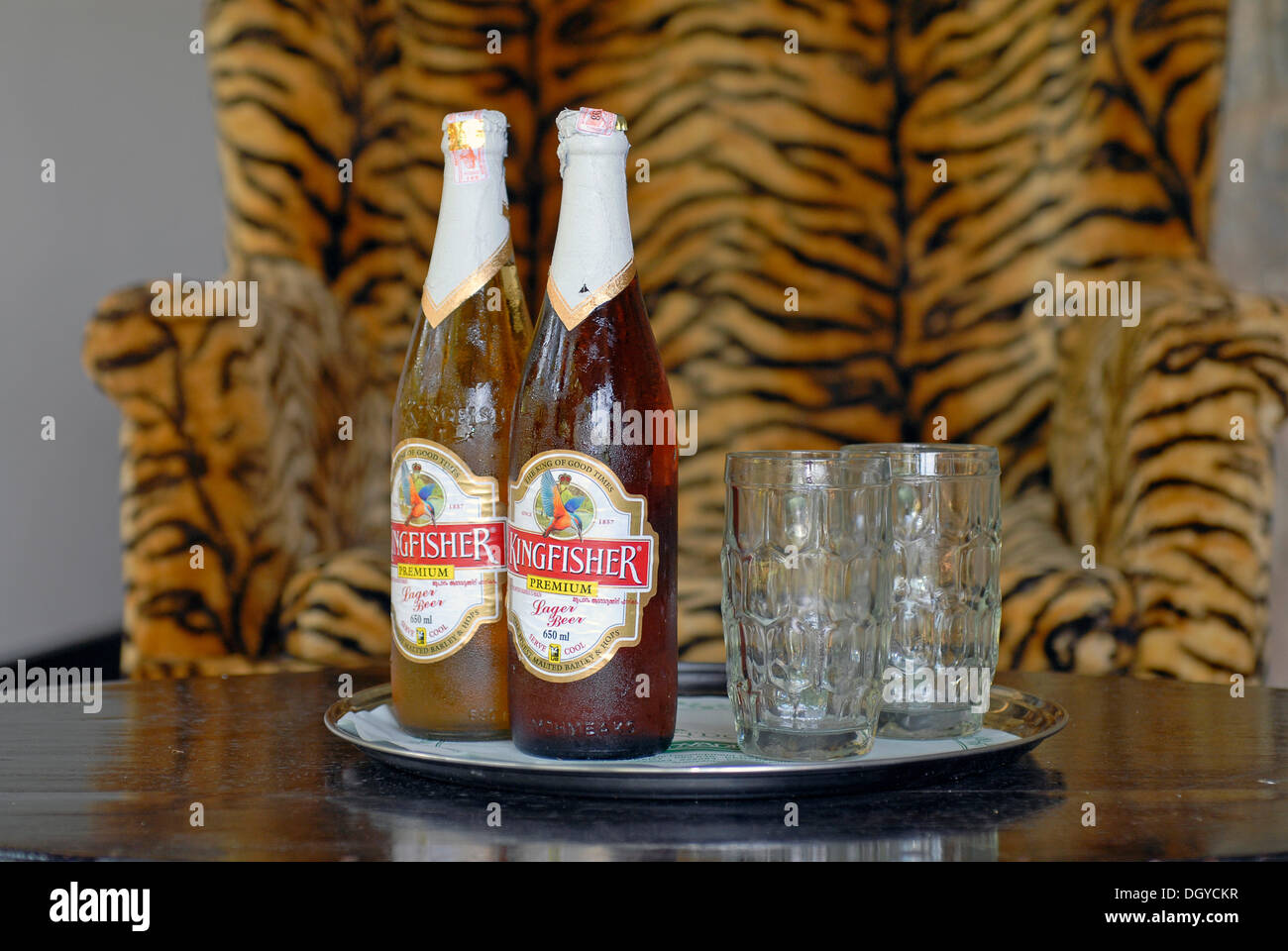 India's most popular beer brand, Kingfisher, in front of an armchair upholstered in faux tiger fur, Lake Palace Hotel Stock Photo