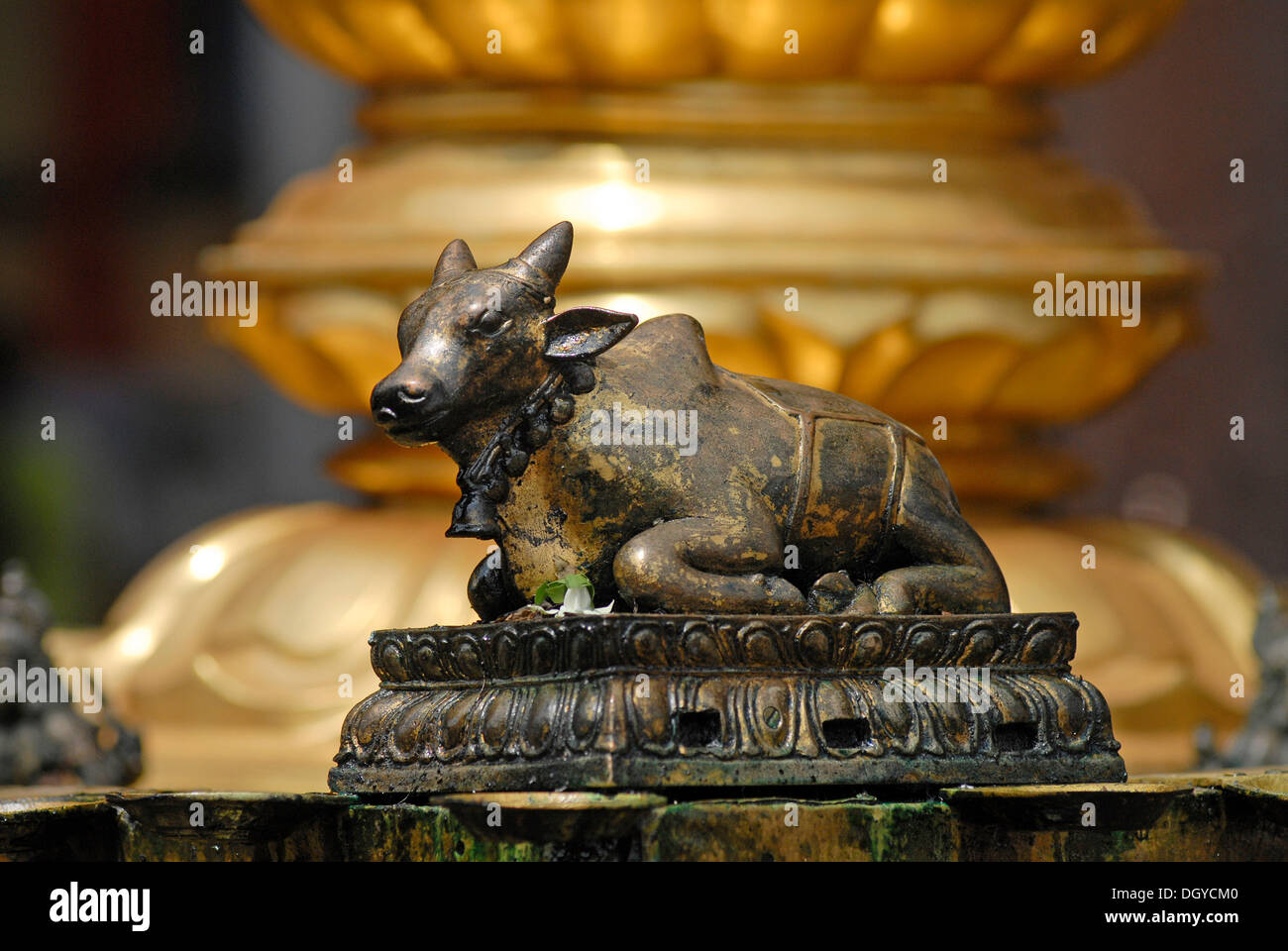 Lord shiva nandi hi-res stock photography and images - Alamy