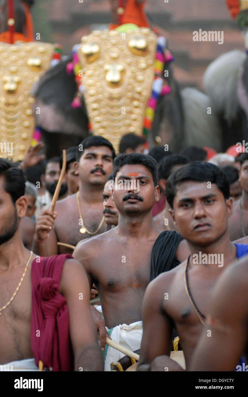 Young Brahmins, elephants decorated with gold jewellery at the back, Hindu Pooram festival, Thrissur, Kerala, southern India Stock Photo