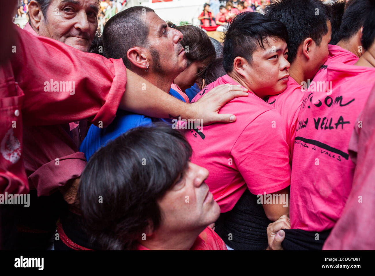 Colla Vella Xiquets de Valls.'Castellers' building human tower.Biannual contest. bullring.Tarragona, catalonia,Spain Stock Photo