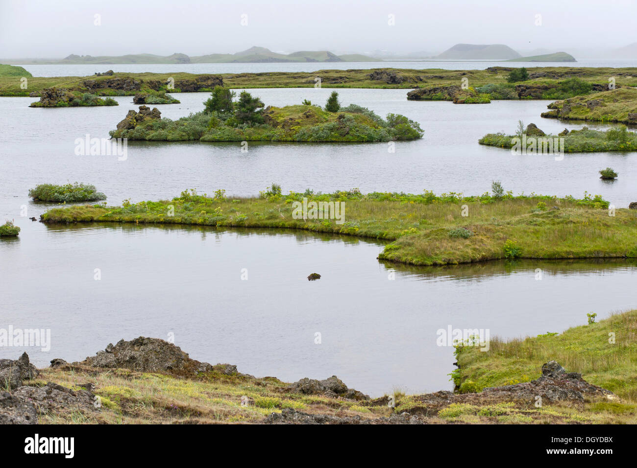 Typical landscape at lake Mývatn, northern Iceland, Europe Stock Photo