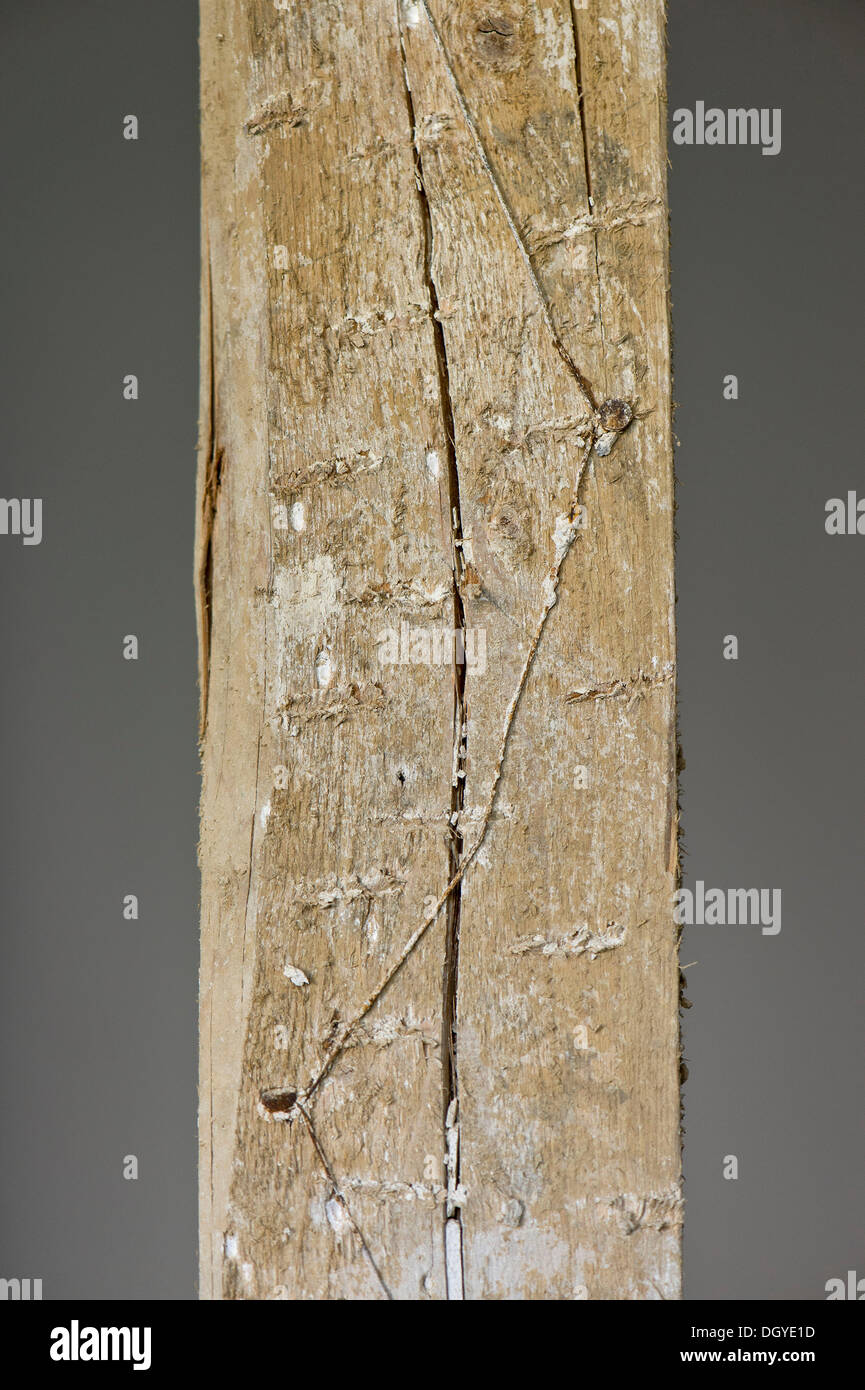 Wire mesh for fixing plaster on timbered beams, old building, Stuttgart, Baden-Wuerttemberg Stock Photo