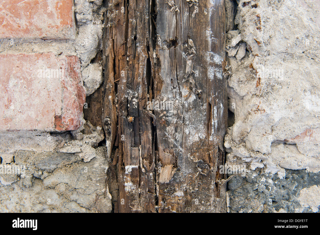 Partially rotted beam and brick in an old building in need of renovation, Stuttgart, Baden-Wuerttemberg Stock Photo