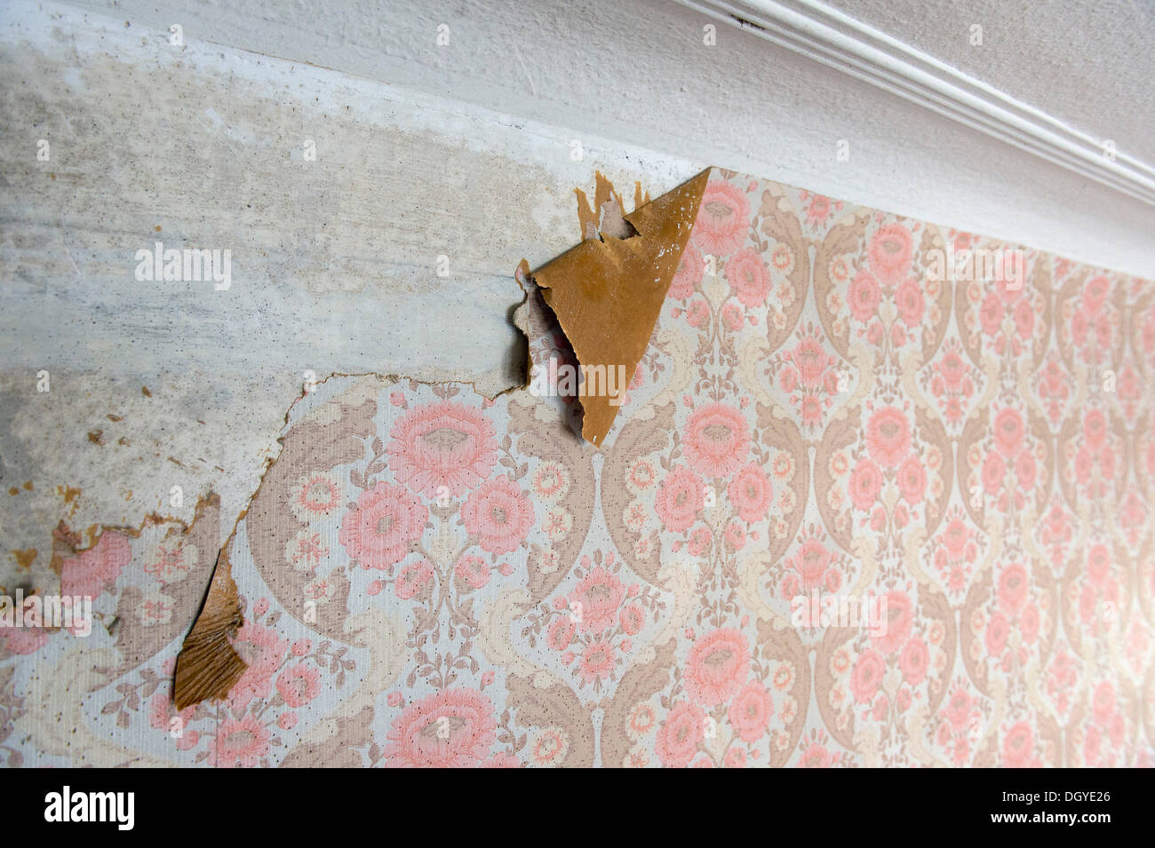 Old wallpaper from the sixties, partially torn-off, stucco ceiling, Stuttgart, Baden-Wuerttemberg Stock Photo