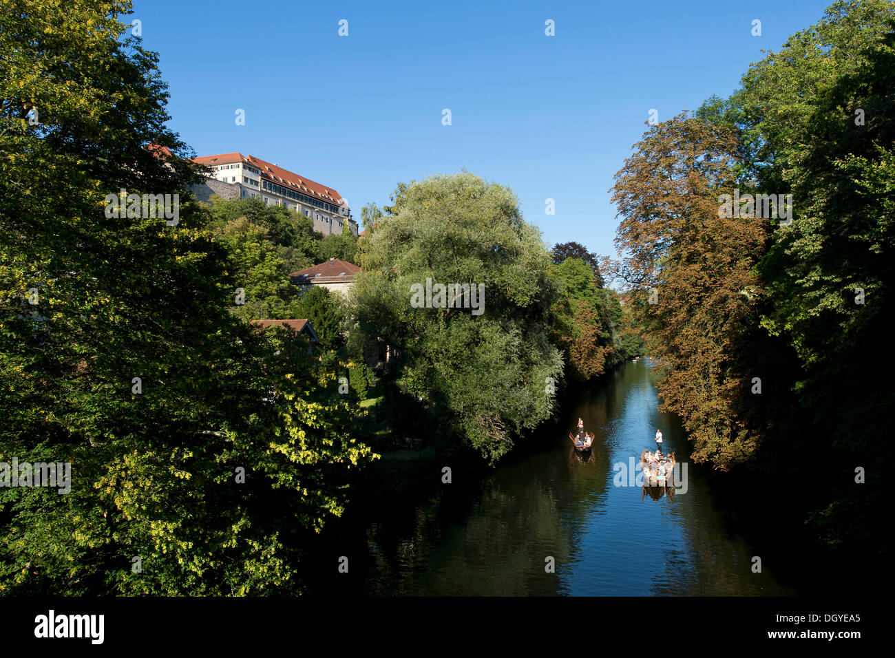 Punts floating on the Neckar river, castle, Tuebingen, Baden-Wuerttemberg Stock Photo