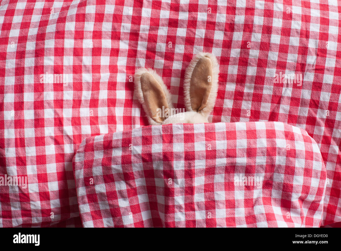A stuffed bunny's ears sticking out of a gingham duvet Stock Photo