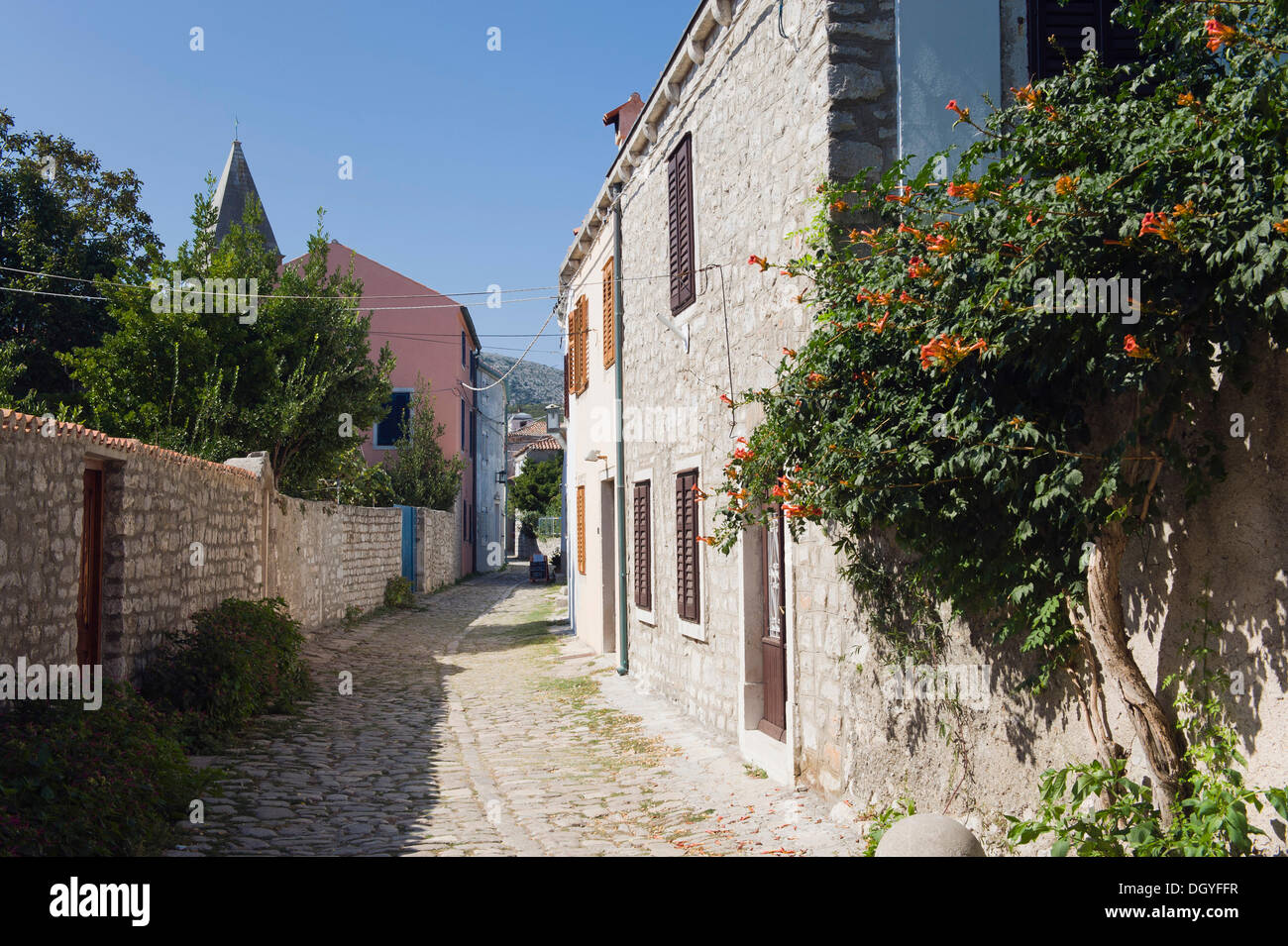 Old stone houses in Osor, Cres Island, Adriatic Sea, Kvarner Gulf, Croatia, Europe Stock Photo