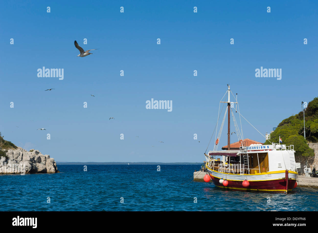 Excursion boat with seagulls in the harbour of Veli Losinj, Losinj ...