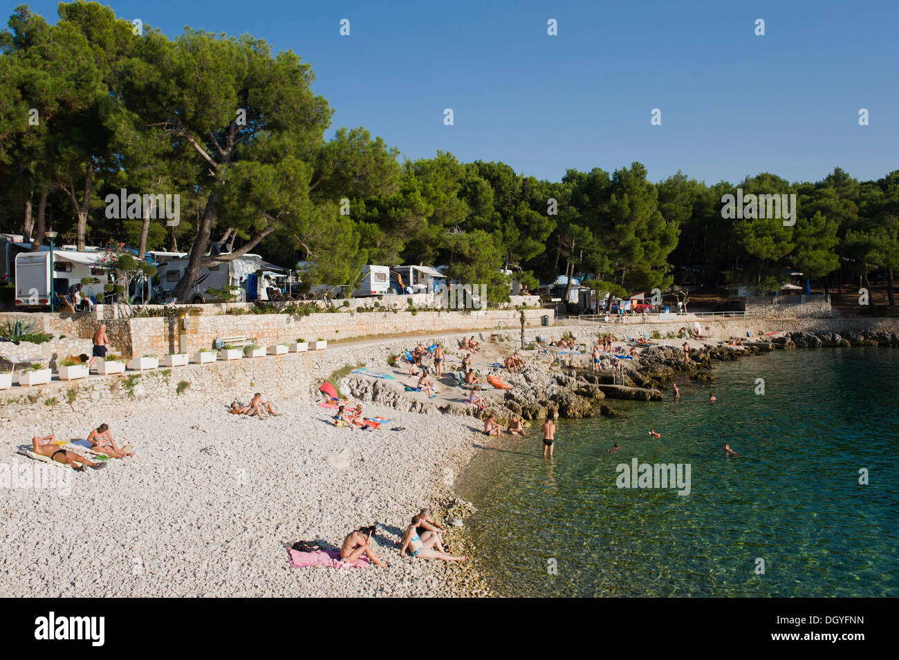 Beach of the Cikat camping site, Mali Losinj, Losinj Island, Adriatic Sea,  Kvarner Gulf, Croatia, Europe Stock Photo - Alamy