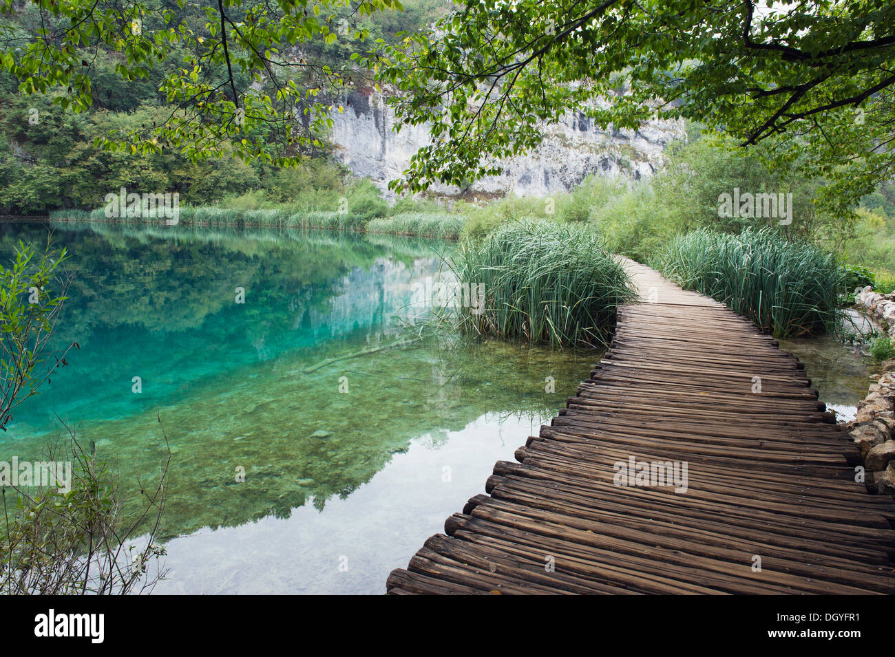 Boardwalk in the Plitvice Lakes National Park, UNESCO World Heritage Site, Plitvicka Jezera, Lika-Senj, Croatia, Europe Stock Photo