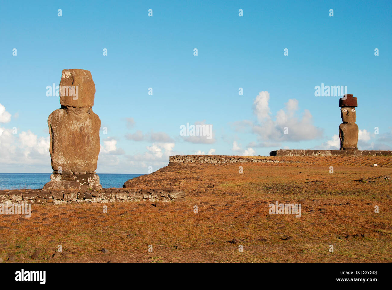 Moais, near Hanga Roa, Easter Island, Pacific Stock Photo Alamy