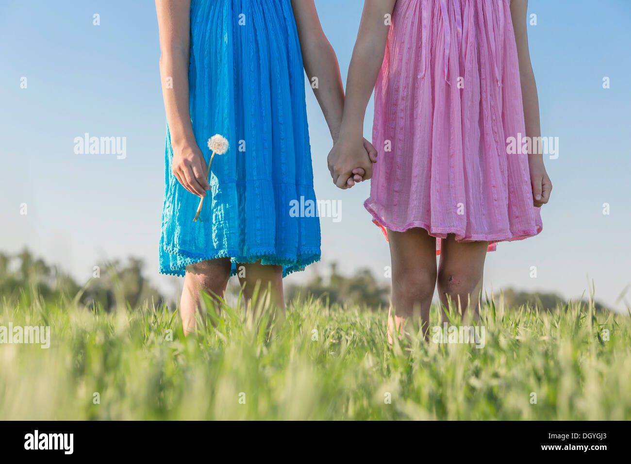 Twin sisters holding hands in a sunny field, low angle view Stock Photo