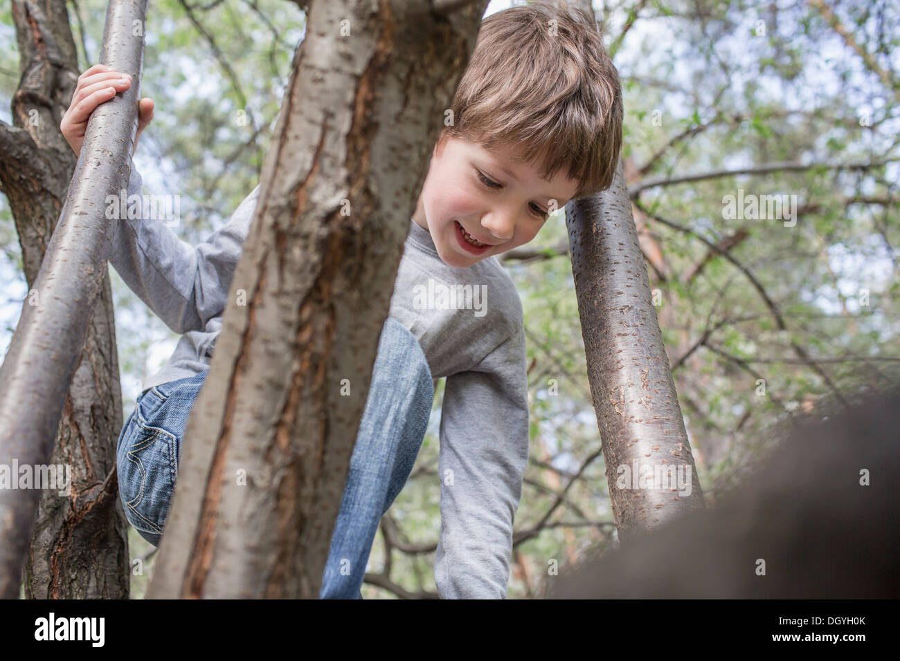 A cheerful boy climbing a boy Stock Photo
