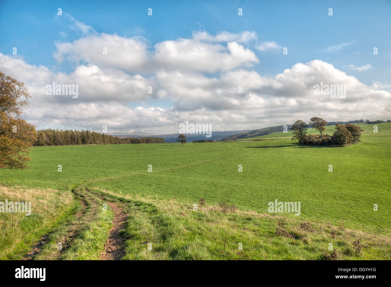 Derbyshire dales in the peak district Stock Photo