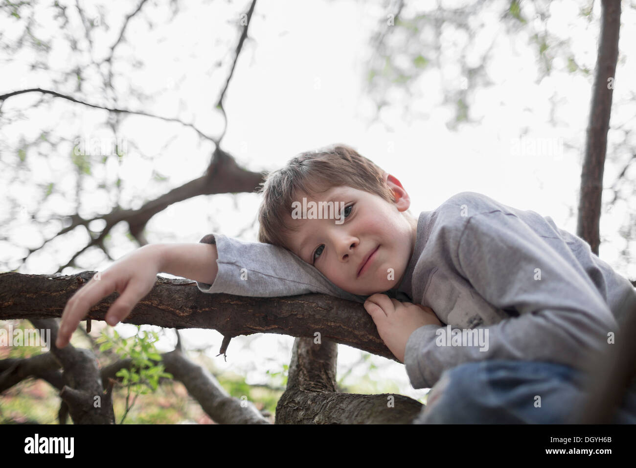 A serene boy relaxation on a tree branch he climbed Stock Photo