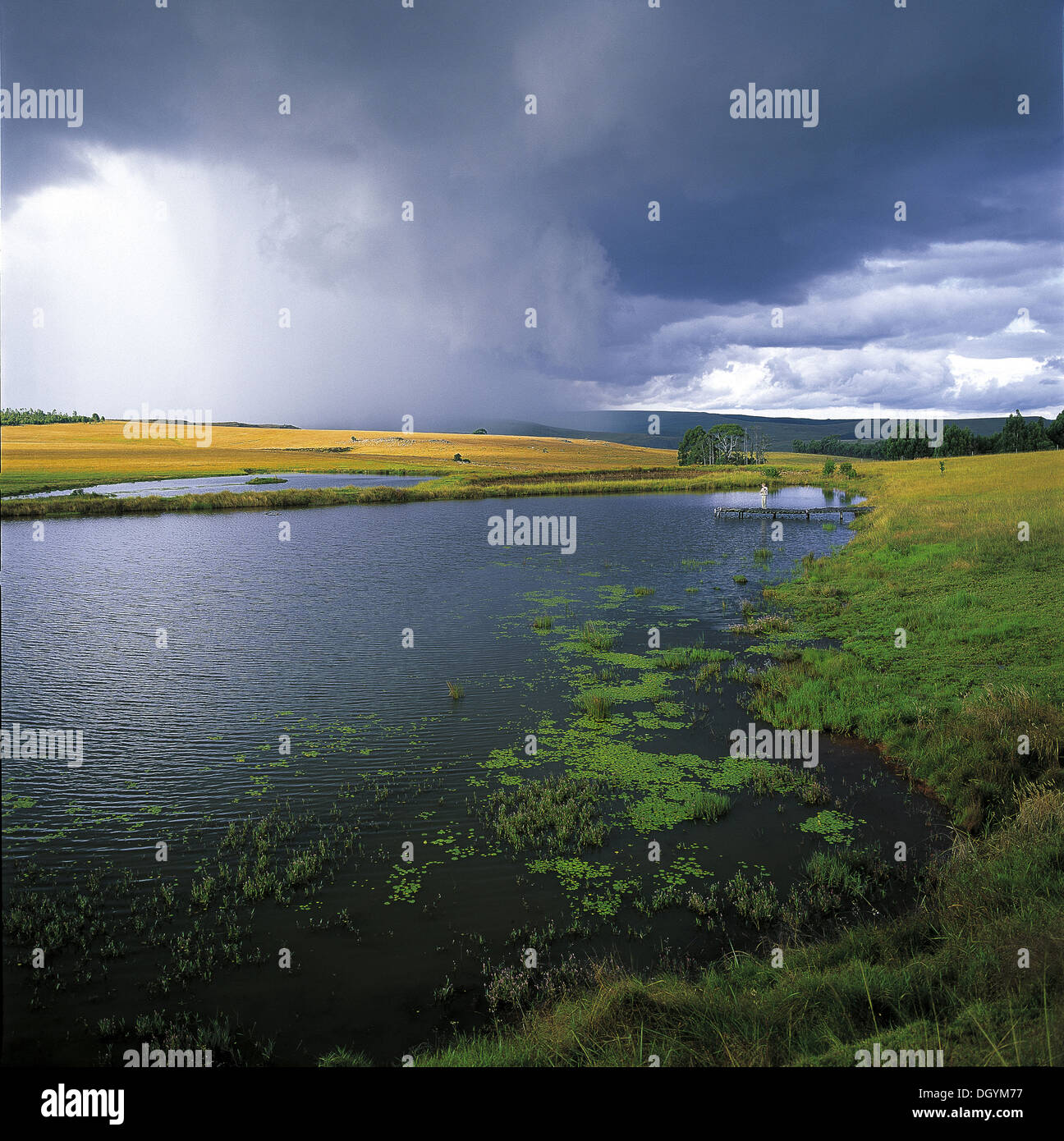 Trout Fishing, Dullstroom, Mpumalanga Stock Photo Alamy