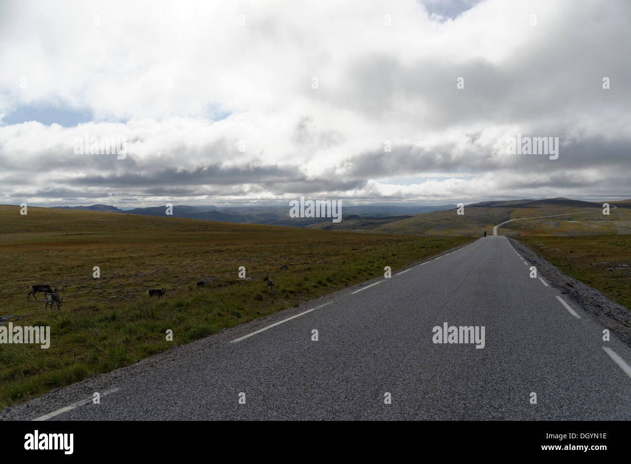 Long straight road, Porsangenfjord, Norway Stock Photo