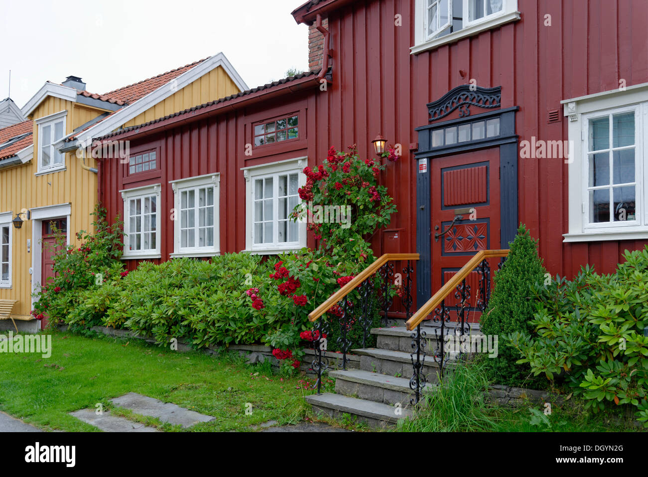 Red wooden house with a red climbing rose, Bakklandet, Trondheim, Sør-Trøndelag, Trøndelag, Norway Stock Photo