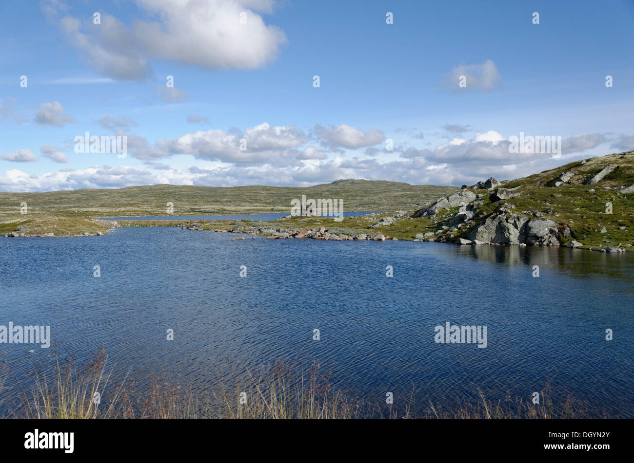 Isolated lake, Hardangervidda Hochebene, Buskerud, Østlandet, Norway Stock Photo