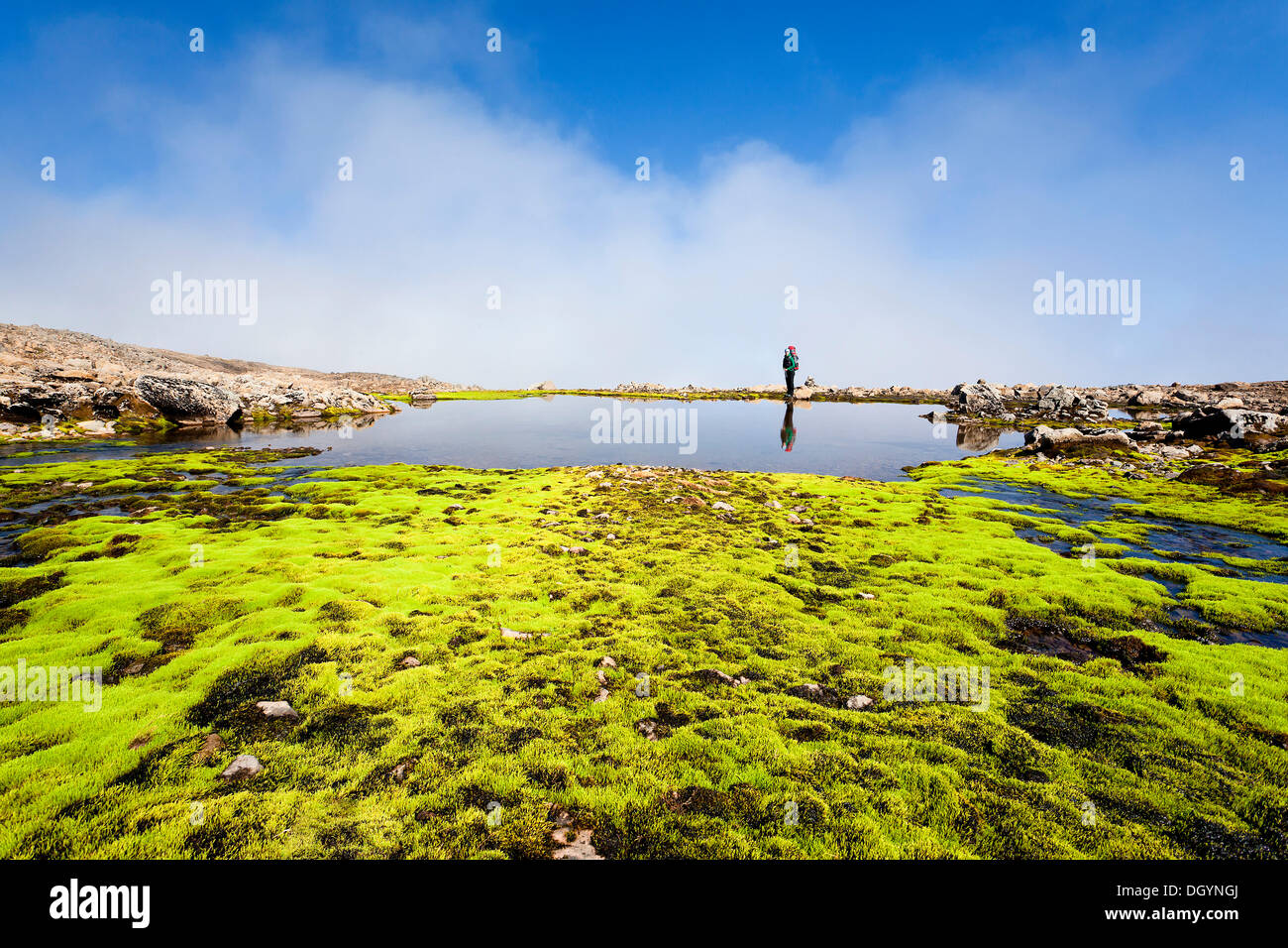 Young woman's reflection in a lake, Hornstrandir, Westfjords, West Iceland, Iceland, Europe Stock Photo