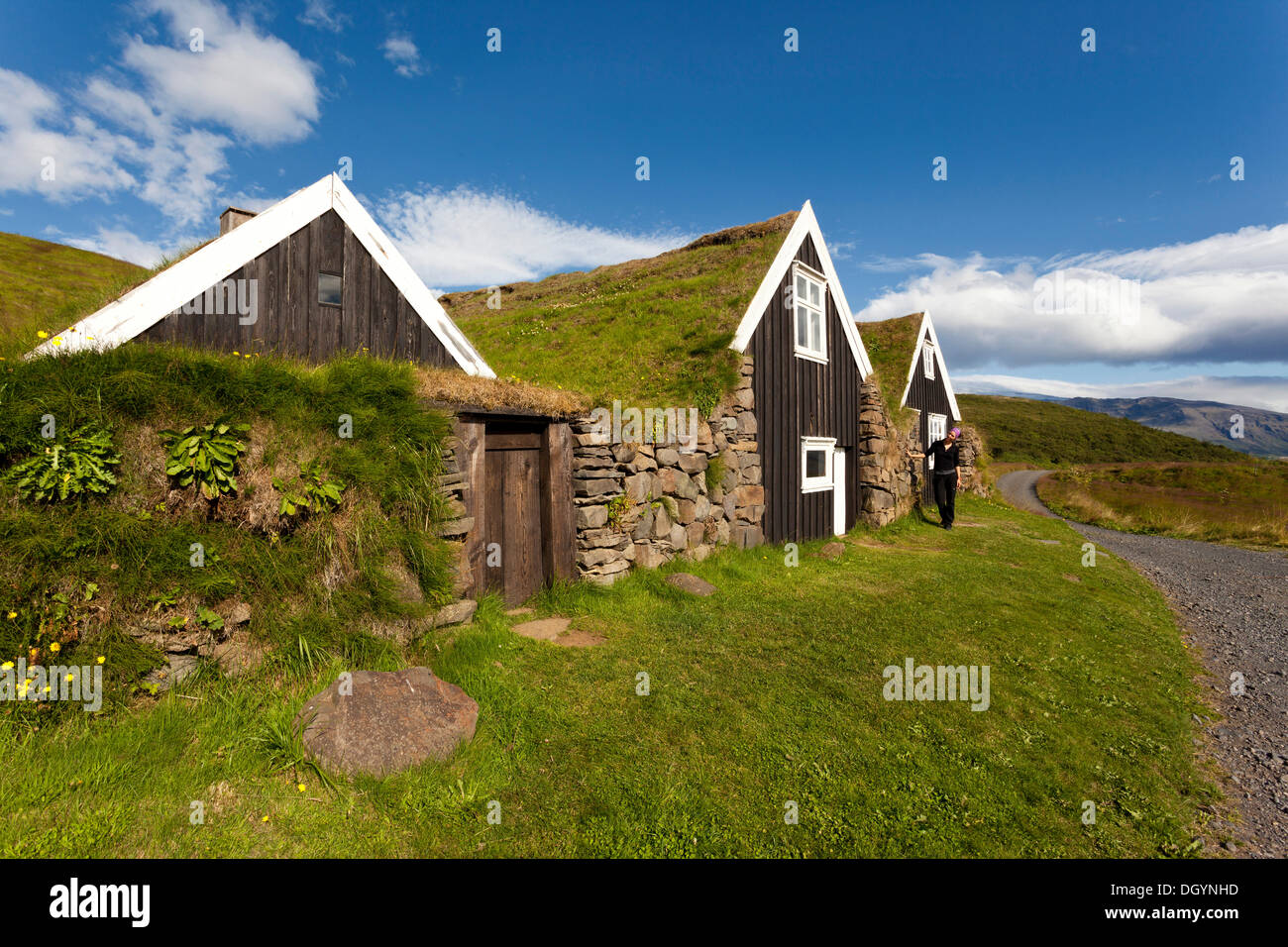 Traditional grasscovered farmhouse, Skaftafell, South Iceland, Iceland