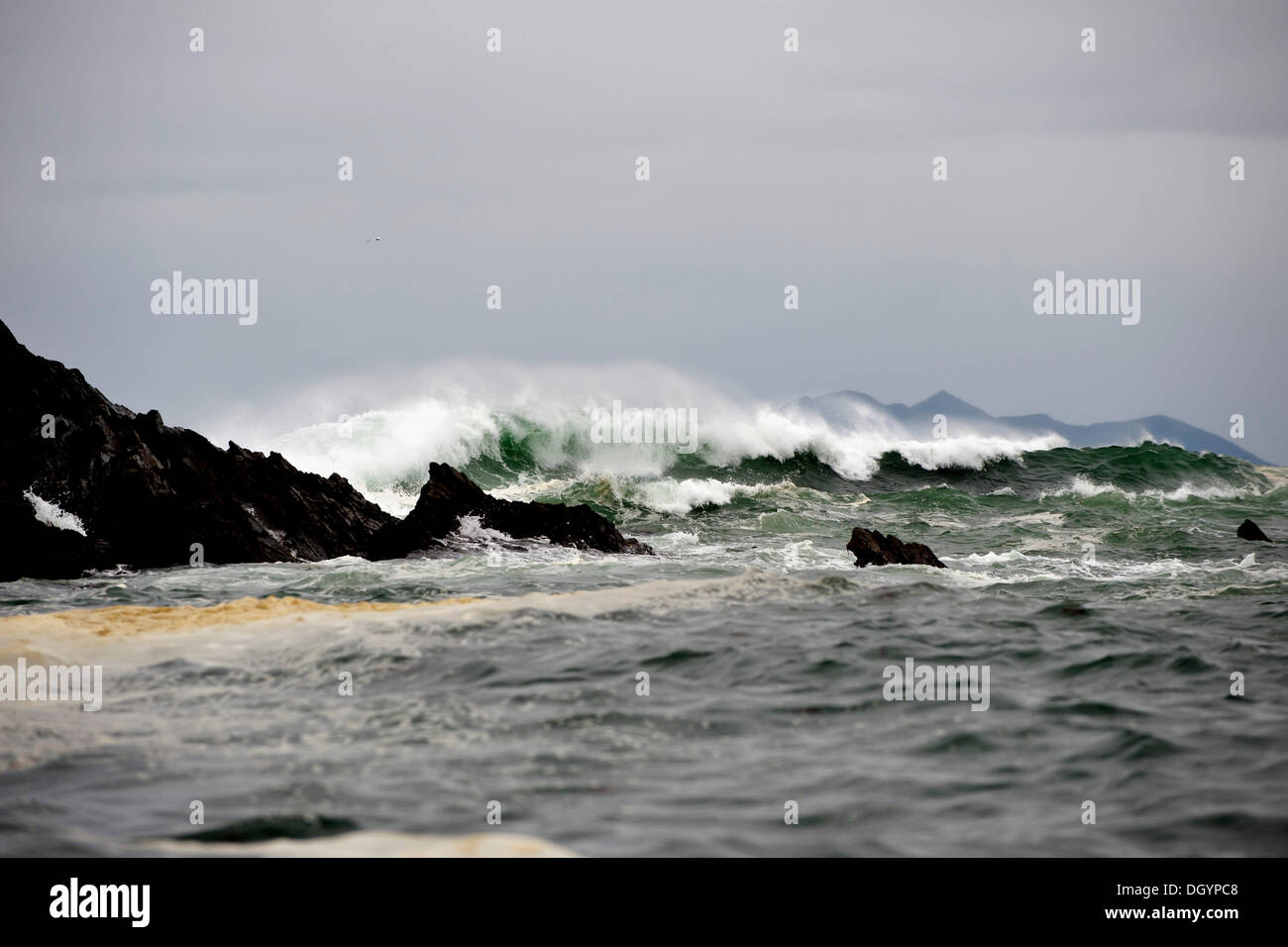 Storm waves at Gore Point in the Gulf of Alaska Stock Photo Alamy