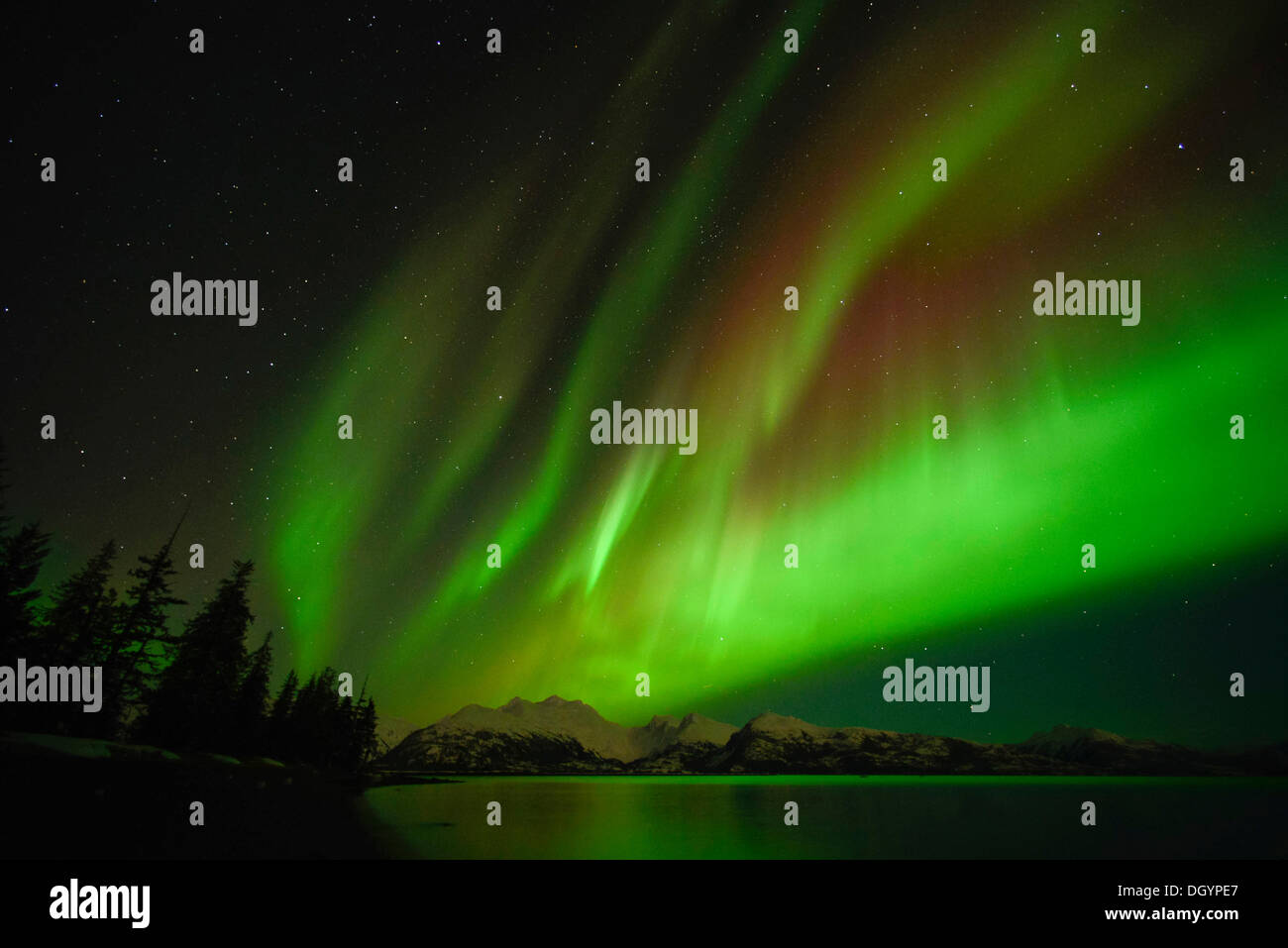 Northern lights, Aurora Borealis, College Fijord, Prince Willam Sound, Anchorage, Alaska, United States Stock Photo