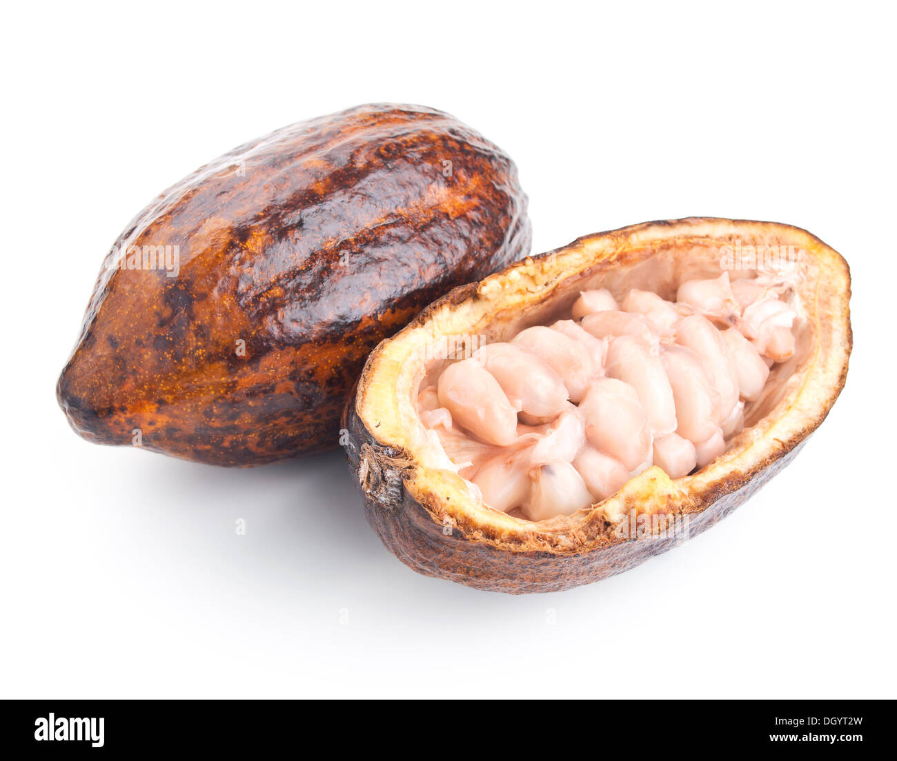 raw cocoa pod and beans isolated on a white background Stock Photo