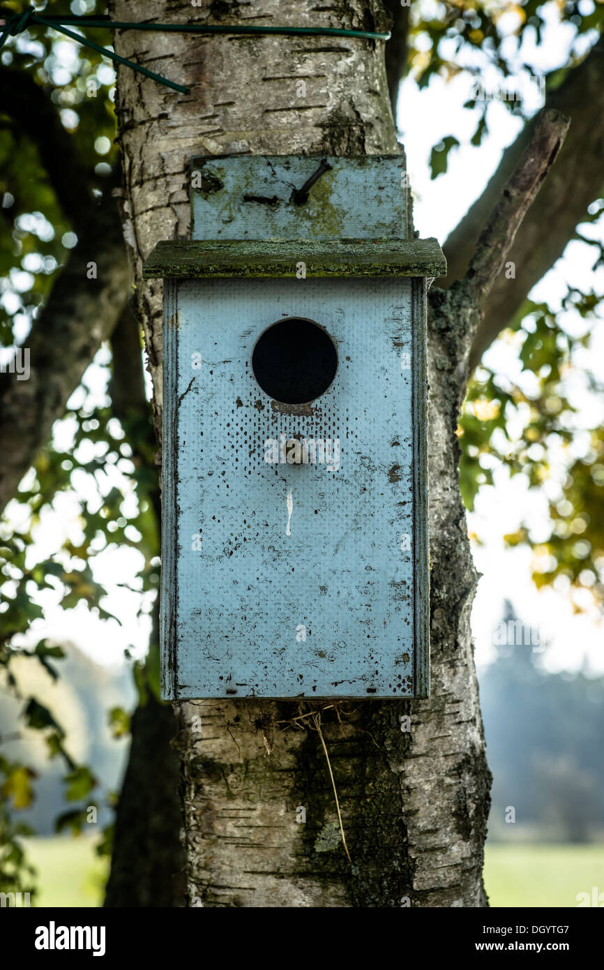 Old bird house hanging on a tree Stock Photo