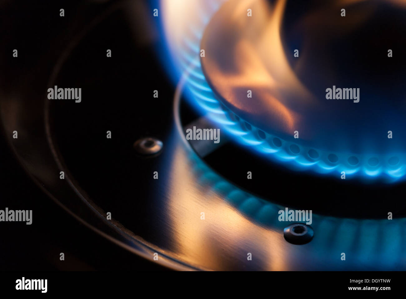 A gas burner with blue flames Stock Photo Alamy