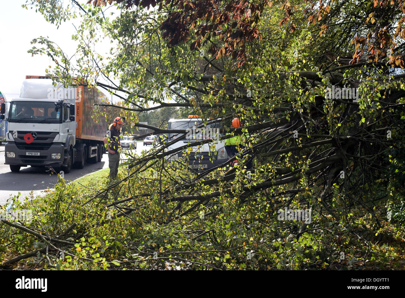 Sevenoaks Way, Orpington, Kent, UK. 28th Oct, 2013. Workmen clear away fallen tree along