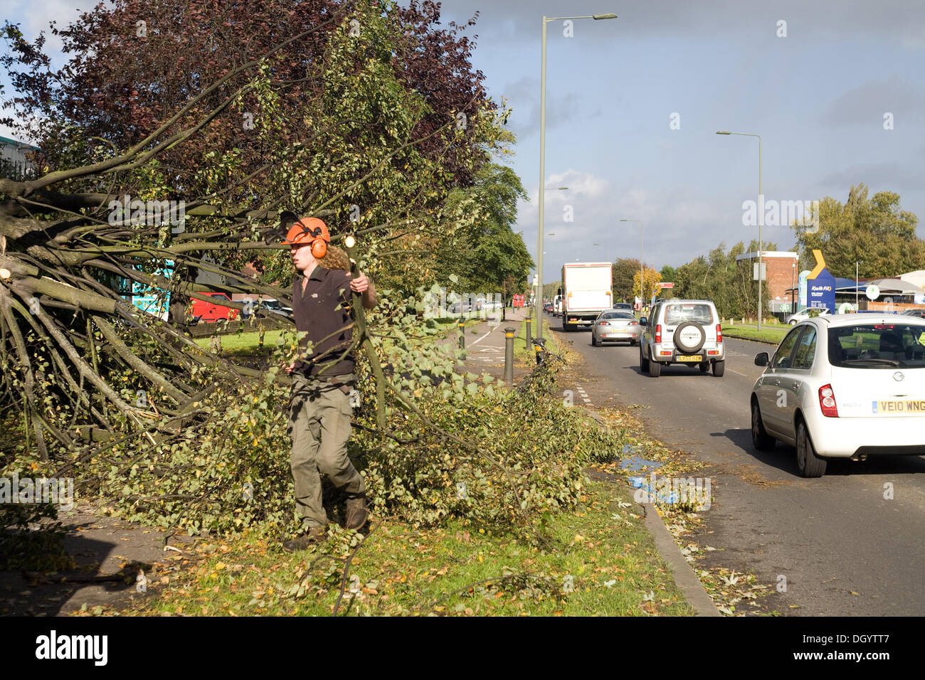 Sevenoaks Way, Orpington, Kent, UK. 28th Oct, 2013. Workmen clear away fallen tree along