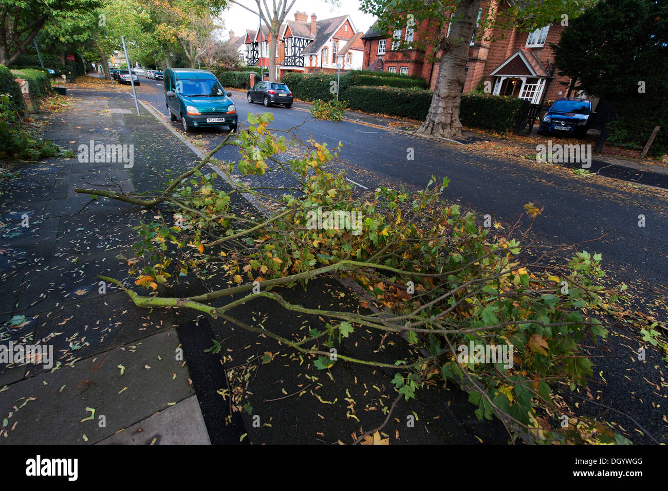 London, UK. 28th Oct, 2013 . Aftermath of early morning storm force wind gusts in the London suburbs, branches litter a tree-lined suburban road in Merton Park. The storm, called St Jude, brought the windiest weather to hit the UK since 1987. Credit:  Malcolm Park editorial/Alamy Live News Stock Photo