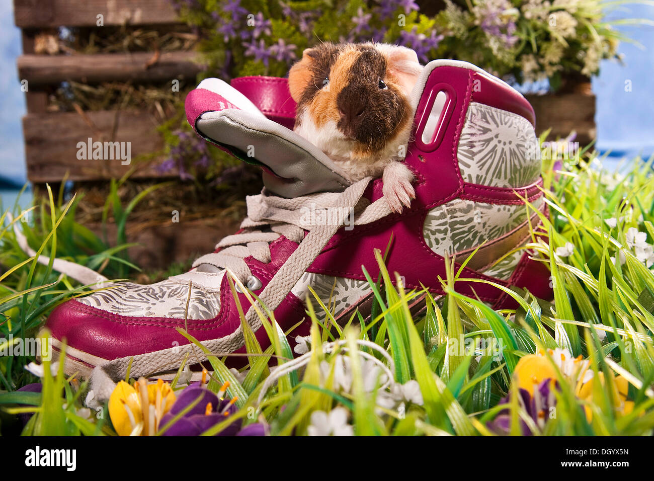 Ecco shoes ellenton hotsell