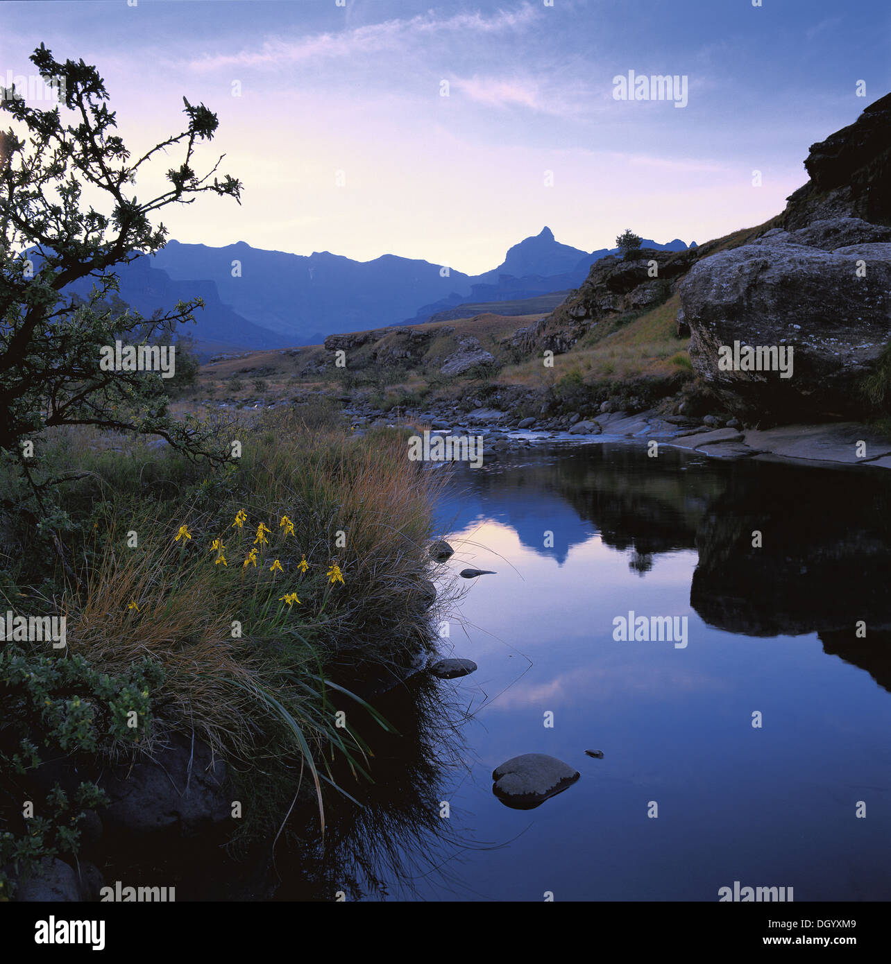 Drakensberg Garden, KwaZulu Natal, South Africa Stock Photo - Alamy