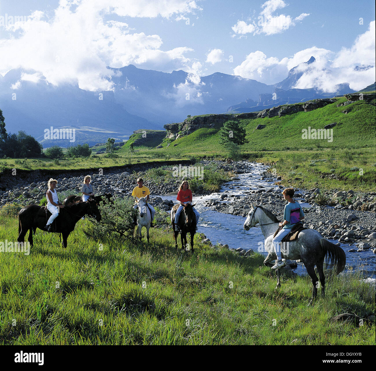 Drakensberg Garden, KwaZulu Natal, South Africa Stock Photo - Alamy