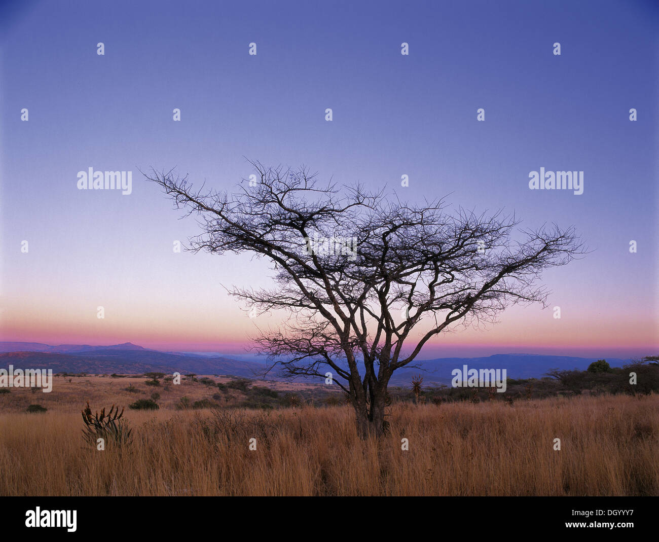 Rorkes drift south africa hires stock photography and images Alamy