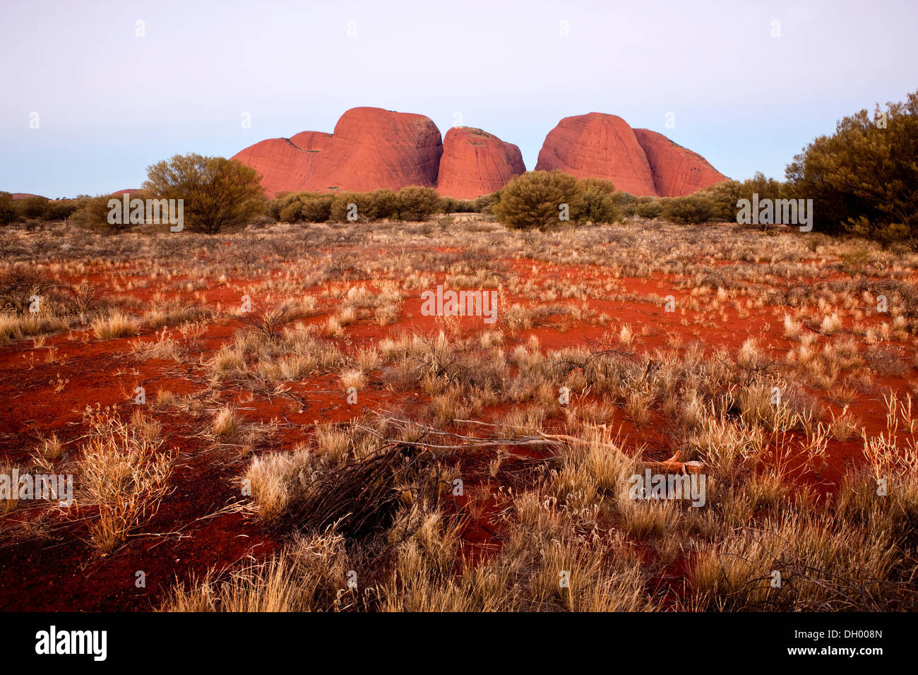 Olgas or Katja Tjuta, blue hour, Uluru-Kata Tjuta National Park, Northern Territory, Australia Stock Photo