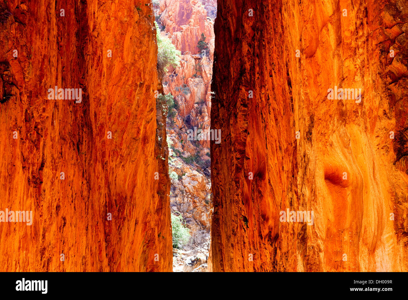 Standley Chasm in the West MacDonnell National Park, Northern Territory, Australia Stock Photo