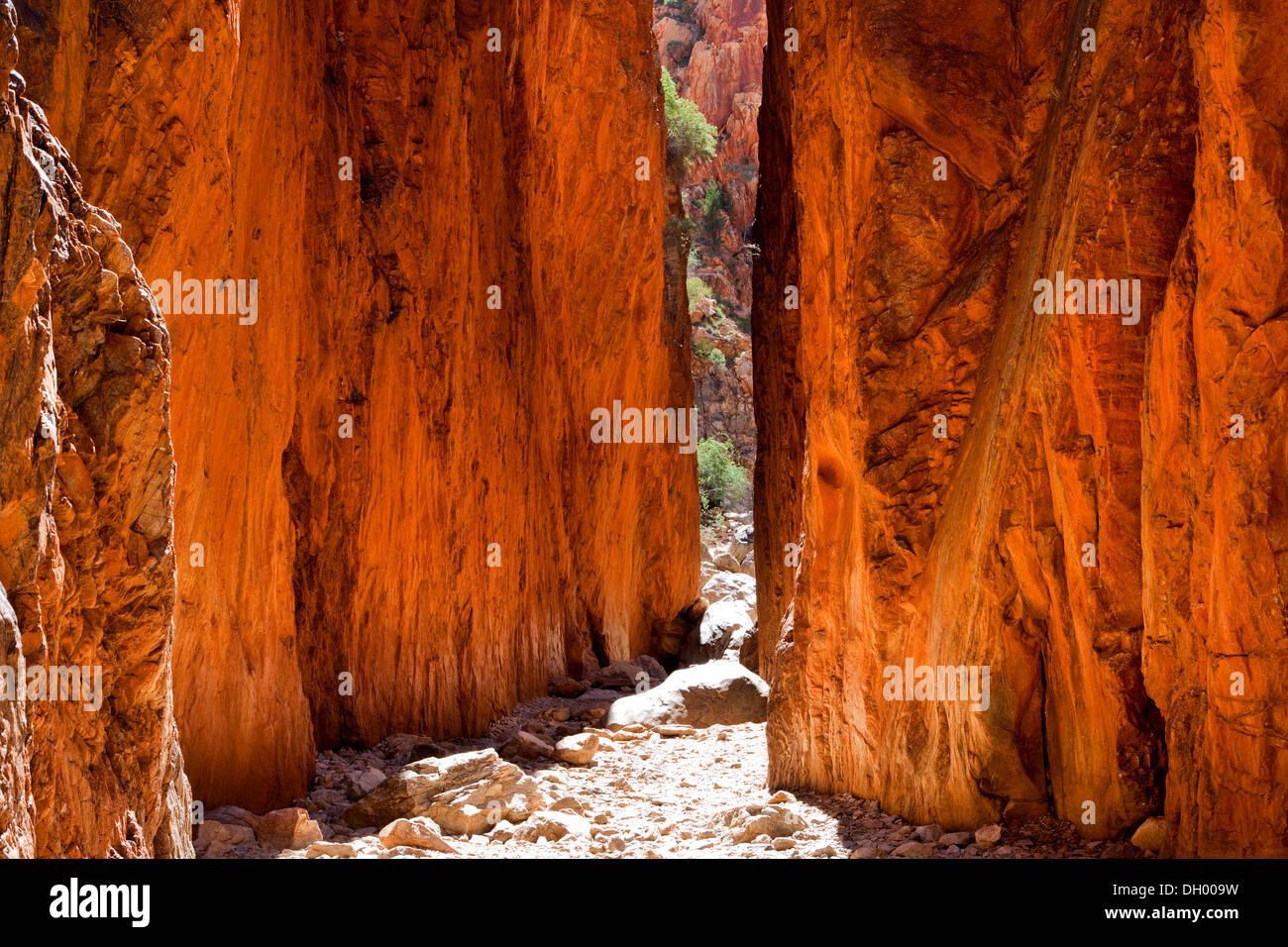 Standley Chasm in the West MacDonnell National Park, Northern Territory, Australia Stock Photo