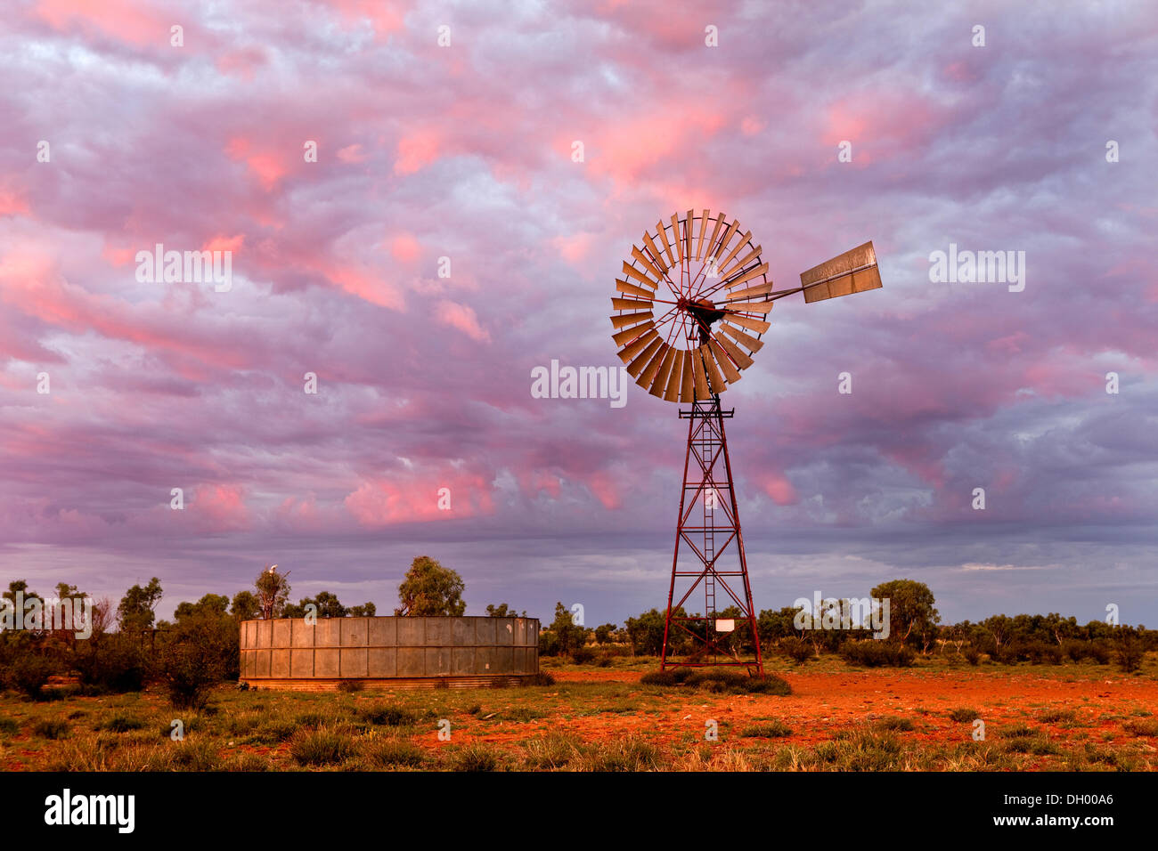 Windmill, morning mood, Northern Territory, Australia Stock Photo