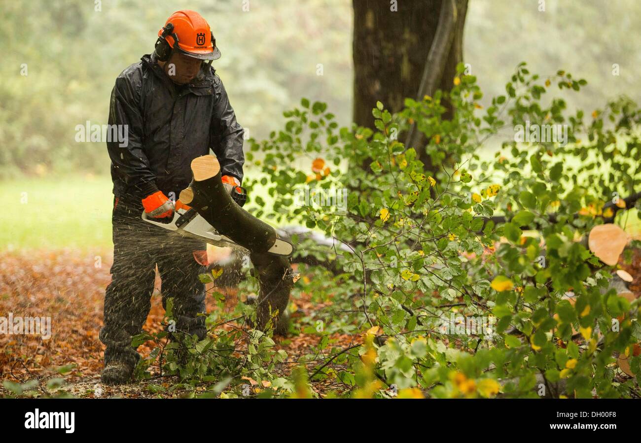 Bristol, UK 28th Oct 2013. Workers clear large fallen branches from a footpath in Clifton, Bristol following storms overnight and this morning. Gusts up to 99mph were recorded in the UK as the southern half of the country was hit by heavy storm weather. The Storm, called St Jude, brought the windiest weather to hit the UK since 1987. Credit:  Adam Gasson/Ģ����ý Live News Stock Photo
