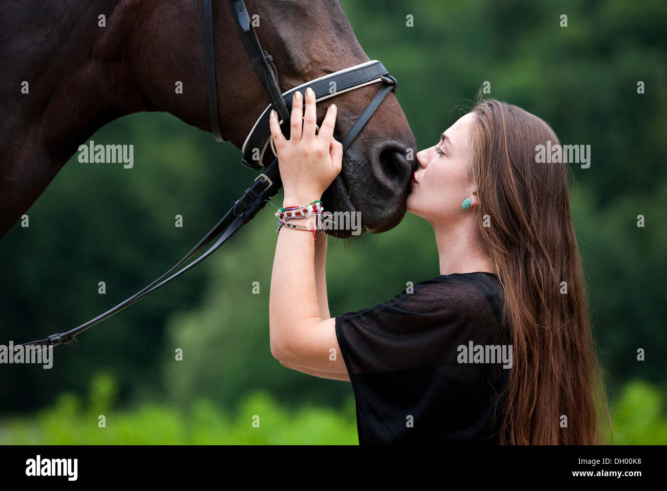 Young woman cuddling with a Hanoverian horse, bay, North Tyrol, Austria, Europe Stock Photo