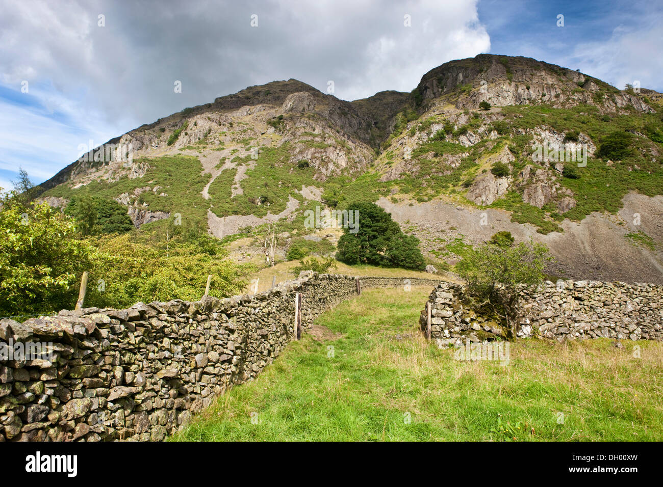 Dry walls, fence, St Johns in the Vale, Lake District, England, United Kingdom Stock Photo