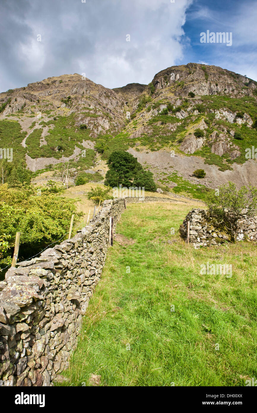 Dry walls, fence, St Johns in the Vale, Lake District, England, United Kingdom Stock Photo