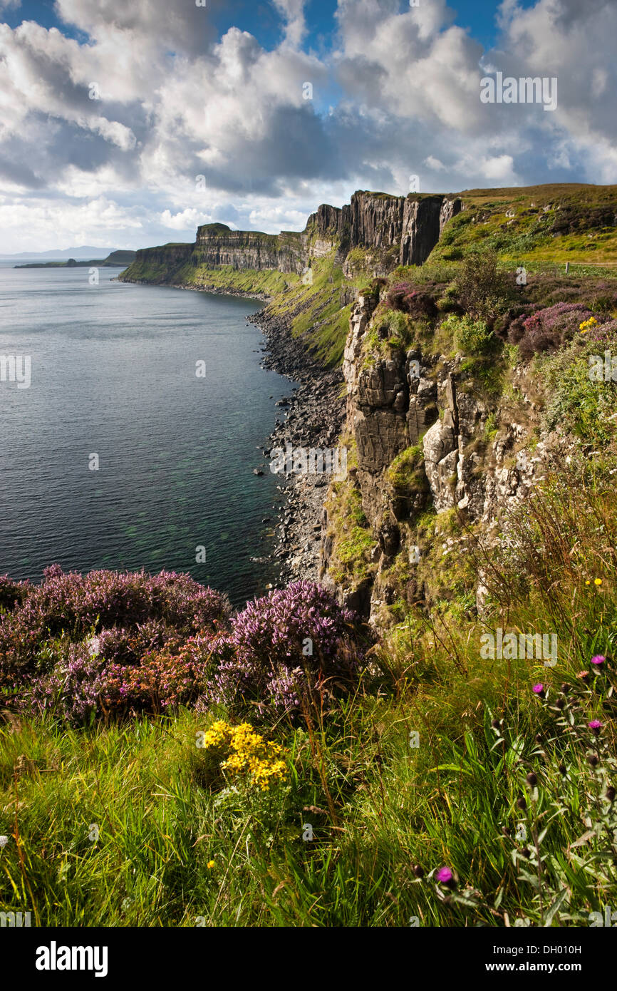 Cliffs, Isle of Skye, Scotland, United Kingdom Stock Photo